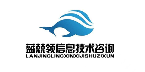 蓝兢领 信息技术咨询领域的杰出专家